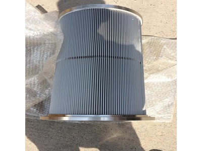 LX564-80x20A双筒过滤器不锈钢滤芯图1