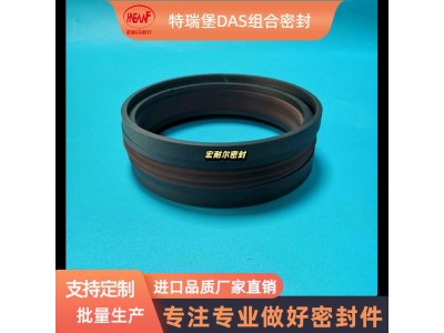 特瑞堡DAS/DBM组合密封 双向活塞组合密封图1