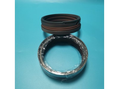 特瑞堡DAS/DBM组合密封 双向活塞组合密封图2