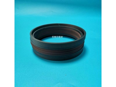 特瑞堡DAS/DBM组合密封 双向活塞组合密封图3