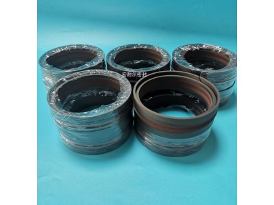 特瑞堡DAS/DBM组合密封 双向活塞组合密封图4